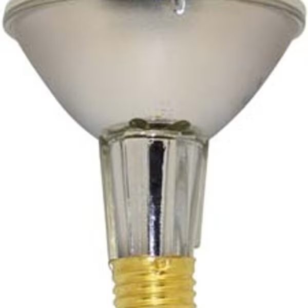 Replacement for Iwasaki 75par30/hal/fl/130v/ln replacement light bulb lamp, 2PK, Ilc, Mfr#: 75PAR30/HAL/FL/130V/LN IWASAKI
